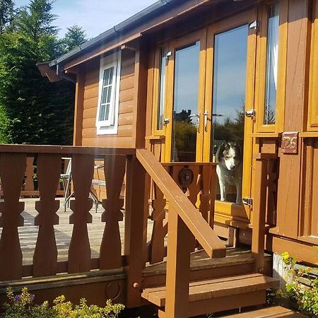 Cabin Apartment Trawsfynydd Екстериор снимка