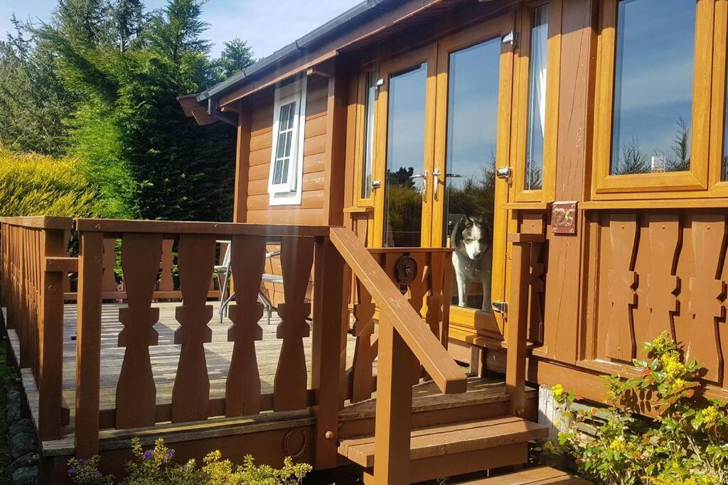 Cabin Apartment Trawsfynydd Екстериор снимка
